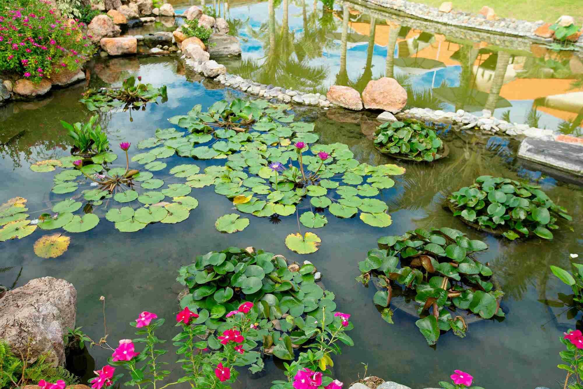 Blue Bay Mui Ne Resort & Spa Phan Thiet Exterior foto